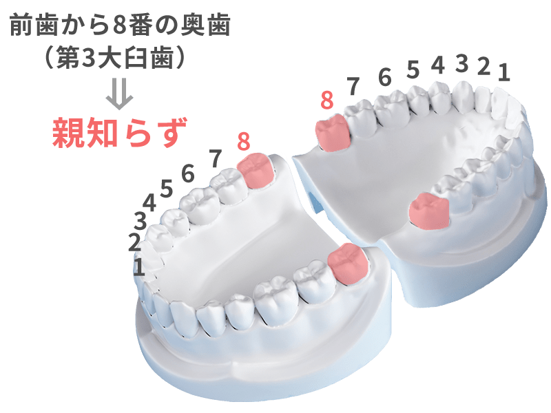 親知らず